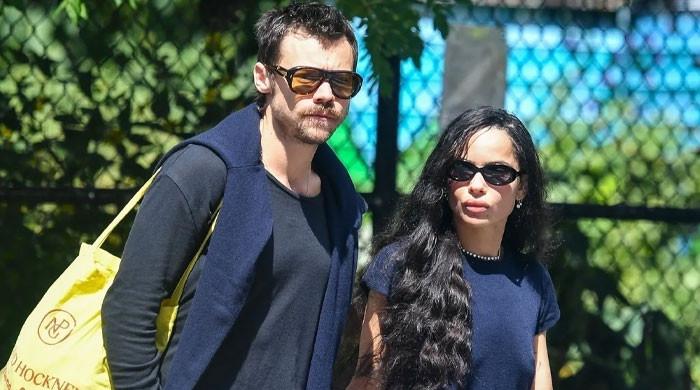 Harry Styles fans notice sweet nod for Zoe Kravitz in new update