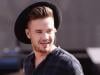 Liam Payne's cousin reveals singer called him hours before tragic death