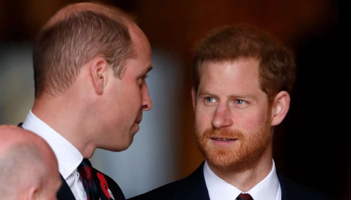 Prince Harry reunites with William: Fans finally receive good news