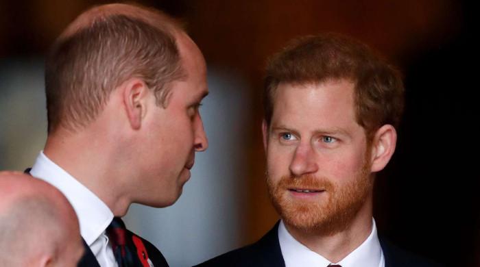 Prince Harry reunion with William: Fans finally receive good news