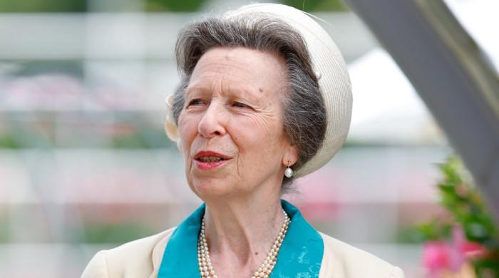 Princess Anne shares uplifting message after meeting with King Charles