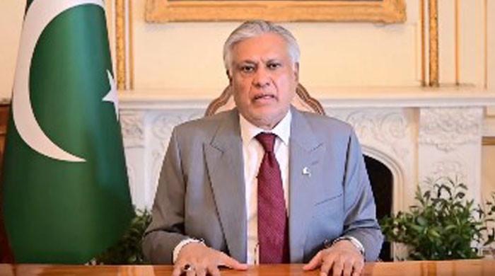 'Unilateral interference' with IWT has 'profound' implications, warns DPM Dar