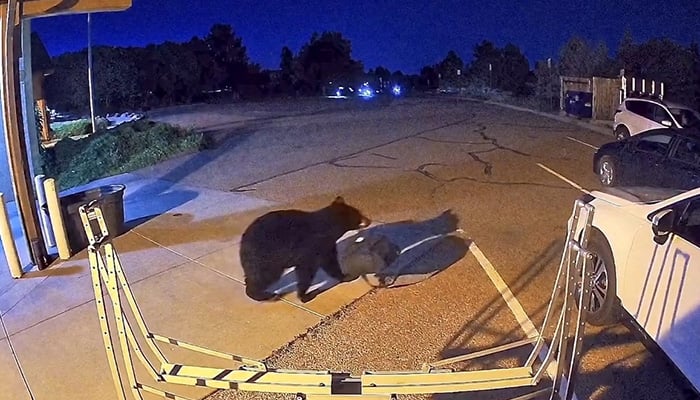 A bear walks out holding an object after sneaking into a fire station in Colorado Springs, Colorado, US, August 1, 2026, in this frame obtained from CCTV footage. — Reuters