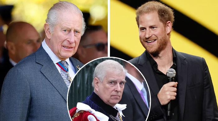 Prince Harry ‘to play crucial role' in King's plans for Andrew's future