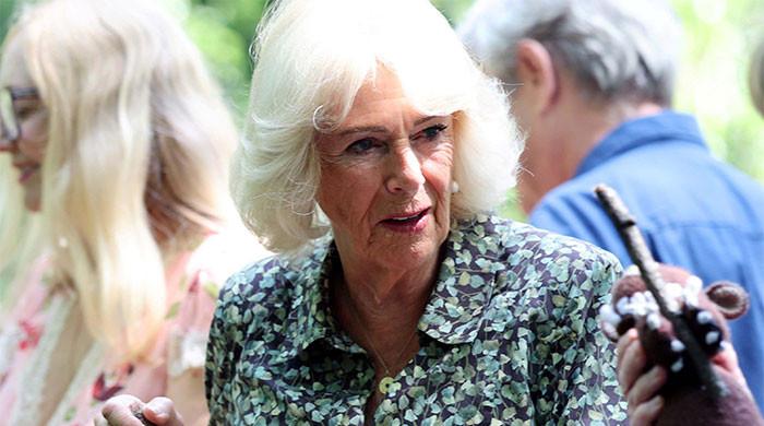 Queen Camilla has rumbly-tumbly reason to revisit cherished love