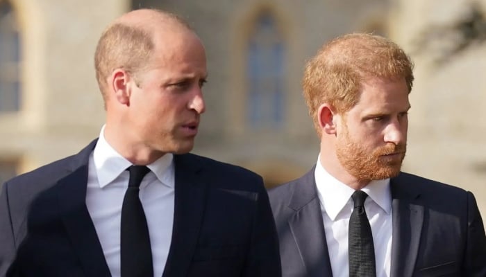 Prince William protects future role with Prince Harry reconciliation