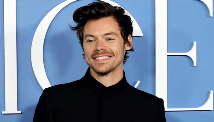 Harry Styles shares little piece of MSG show with special fan