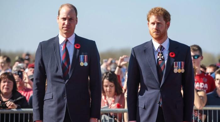 Prince William, Prince Harry's much-awaited reunion hits with sad update