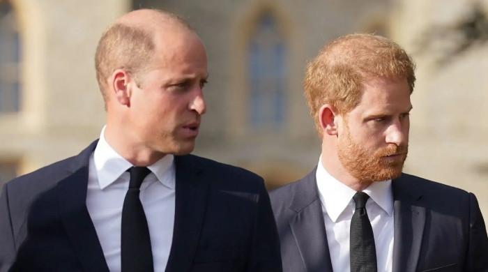 Prince William 'protects' future role with Prince Harry reconciliation