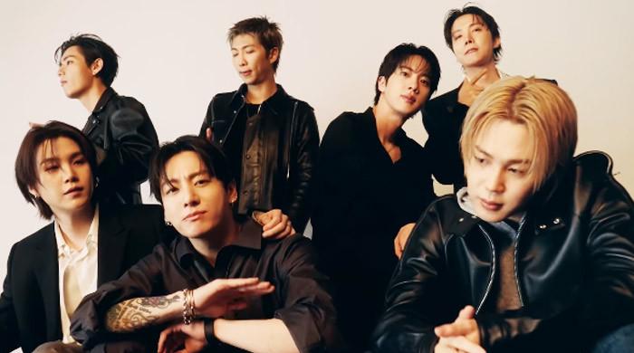 BTS concert disrupted as one fan tries to storm stage