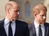 Prince William 'protects' future role with Prince Harry reconciliation