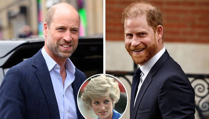 Diana Charity responds to Princes William, Harry joint appearance at event