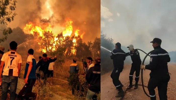 Algeria set to reinstate death penalty for arsonists after wildfires kill 12