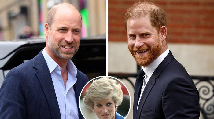 Diana Charity responds to Princes William, Harry joint appearance claims