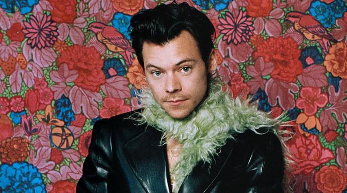Harry Styles pauses concert to celebrate longtime bandmate's birthday