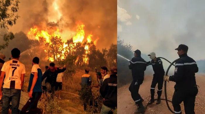 Algeria set to reinstate death penalty for arsonists after wildfires kill 12