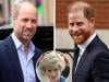 Diana Charity responds to Princes William, Harry joint appearance claims