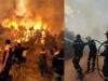 Algeria set to reinstate death penalty for arsonists after wildfires kill 12