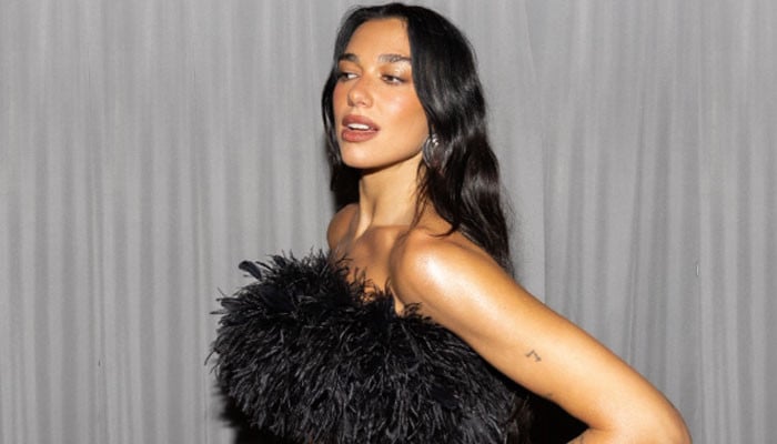 Dua Lipa teases new album with latest photo dump