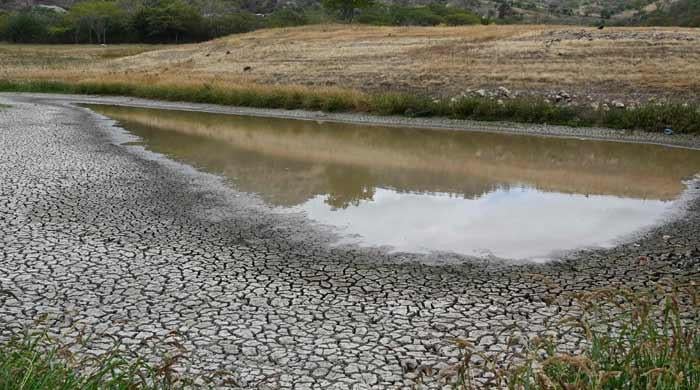 ‘World is in danger zone': El Nino likely to strengthen further, persist into 2027, says WMO 