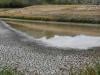 El Nino likely to strengthen further, persist into 2027, says WMO 