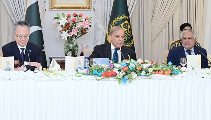 PM Shehbaz, ADB VP discuss 'early groundbreaking' of strategic ML-1 project