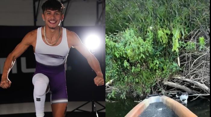 Fisherman rescues drowning kitten from river after hearing cries from riverside tree