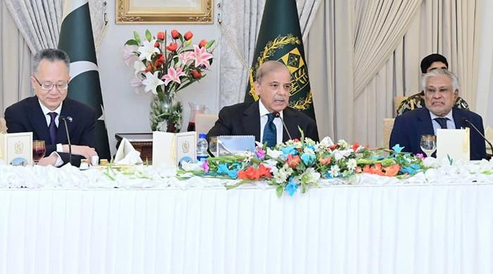 PM Shehbaz, ADB VP discuss 'early groundbreaking' of strategic ML-1 project