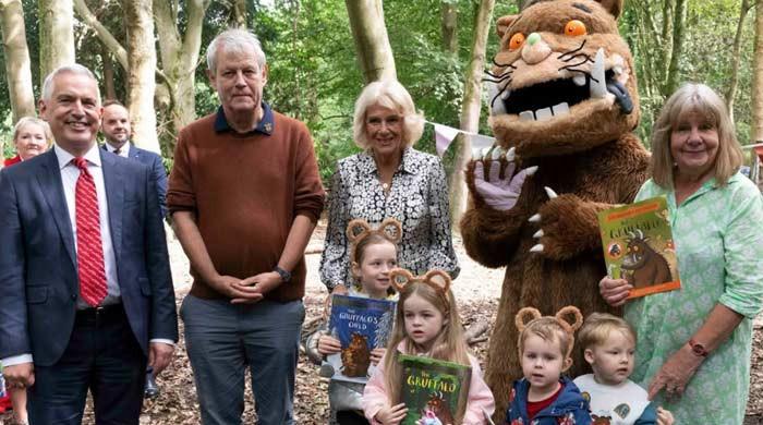 Palace pushes Queen Camilla as Harry, Meghan dominate headlines in UK