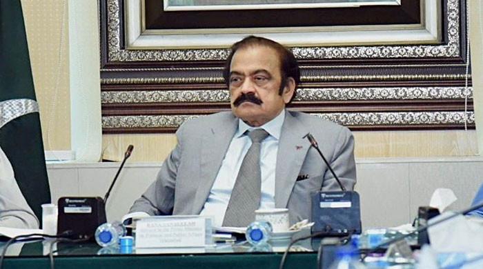 PML-N believes debate on new provinces premature, says Rana Sanaullah