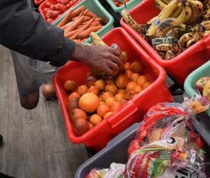 World food prices at highest since 2022 as supply risks mount, says UN agency