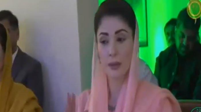 Neighbouring provinces pose 'greater threat to Punjab than countries': CM Maryam