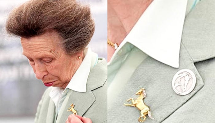 Princess Anne receives special World Horse Welfare honour