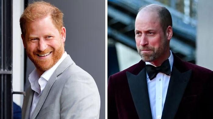 Princes Harry, William ‘are communicating' as reunion hopes reignite