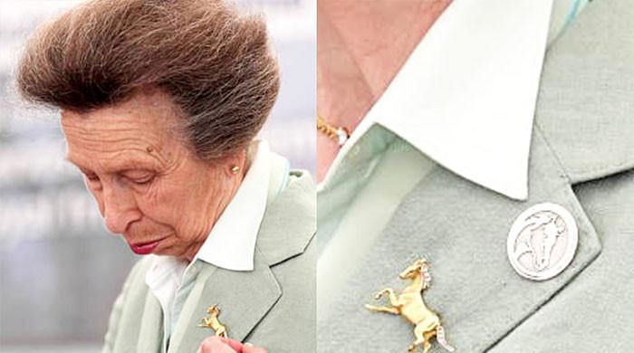 Princess Anne receives special World Horse Welfare honour