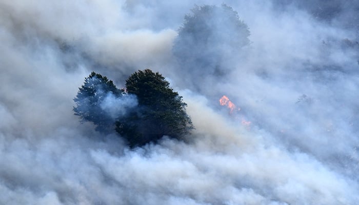 This photograph shows a plume of smoke engulfing trees during a wildfire near Etsaut, southwestern France, on September 6, 2026. — AFP