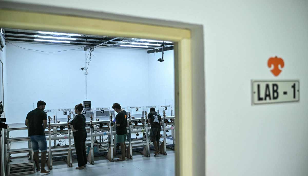 Employees preparing for a test inside a laboratory at the Dognosis facility in Kempohalli village on the outskirts of Bengaluru.— AFP