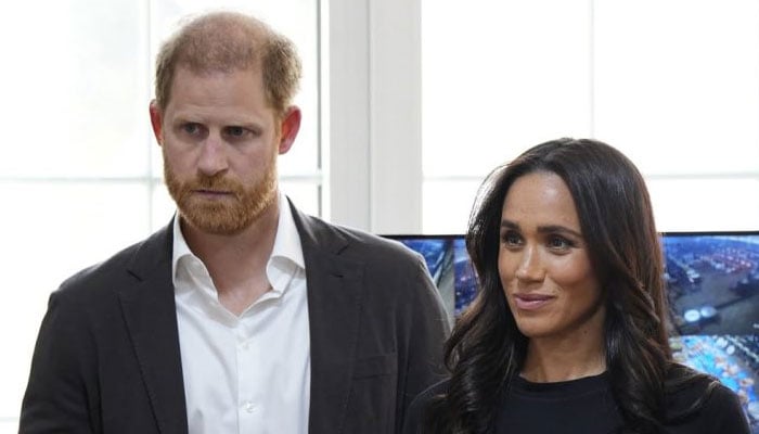 Prince Harry, Meghan pay price for hasty decision as delays foil key plans