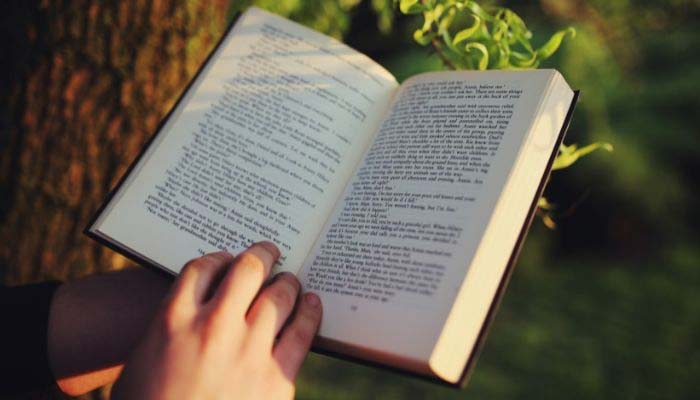 A person reads a book. — Canva