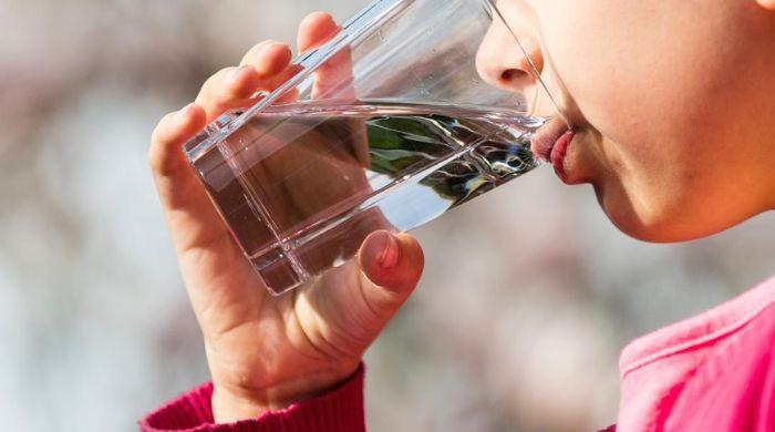 Federal court rules: No constitutional right to clean water in landmark decision