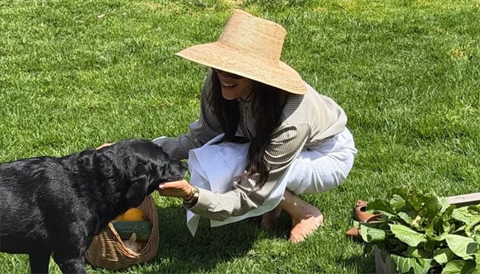 Meghan Markle releases carefree holiday photo after King reaffirms Sussexes’ status