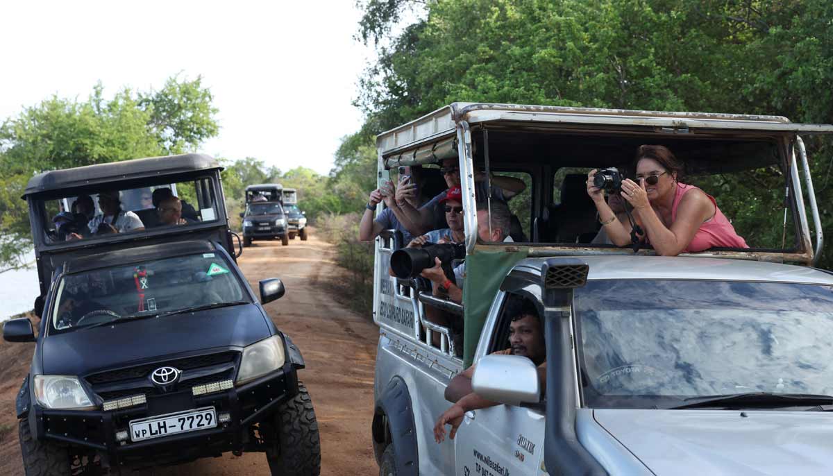 Tourists take pictures of animals from their safari jeeps in Yala National Park, in southern Sri Lanka, August 26, 2026.— Reuters