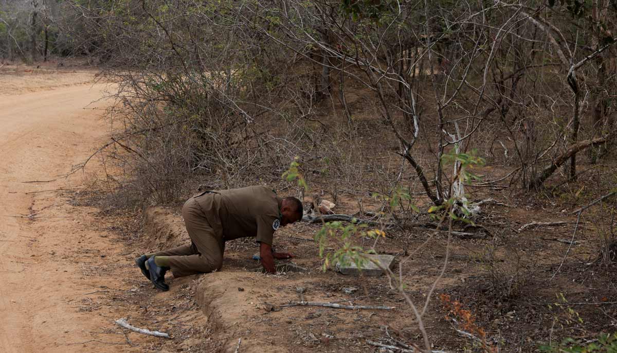 Sujeewa Nishantha, 58, a wildlife ranger, opens a tap supplying water to a small pond in Yala National Park, in southern Sri Lanka, August 25, 2026.— Reuters