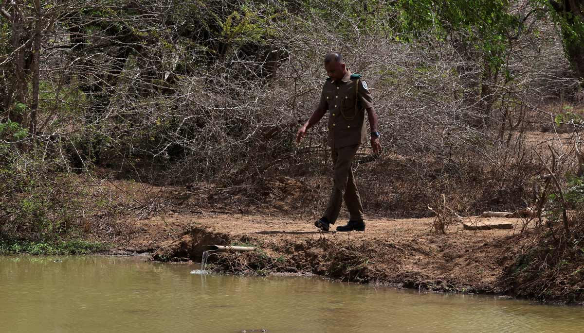 Sujeewa Nishantha, 58, a wildlife ranger, walks to close a tap supplying water to a small pond in Yala National Park, in southern Sri Lanka, August 25, 2026.— Reuters