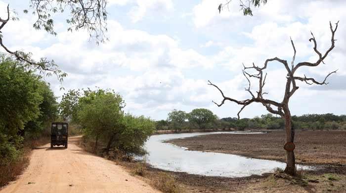 Sri Lanka bars tourists from heart of drought-hit park as El Nino looms
