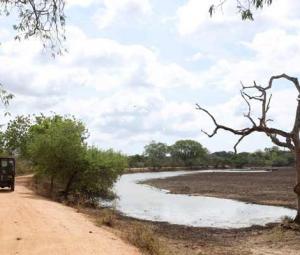 Sri Lanka bars tourists from heart of drought-hit park as El Nino looms