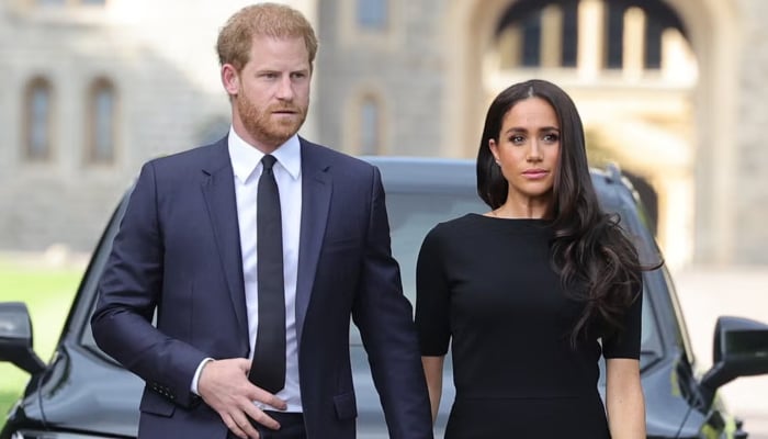 Prince Harry, Meghan Markle speak out on private UK citizen snub