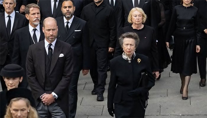 Prince William and Anne bring touch of comfort to Norways royals: Watch