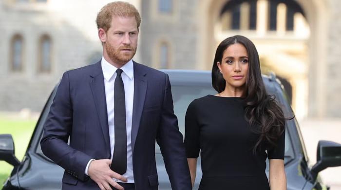 Prince Harry, Meghan Markle speak out on 'private UK citizens' snub