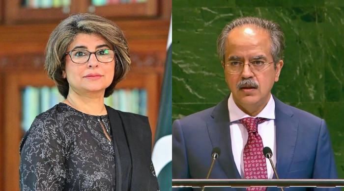 Asim Iftikhar to be country's next foreign secretary: DPM Dar
